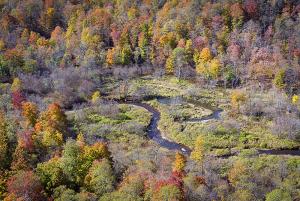 landscape-12